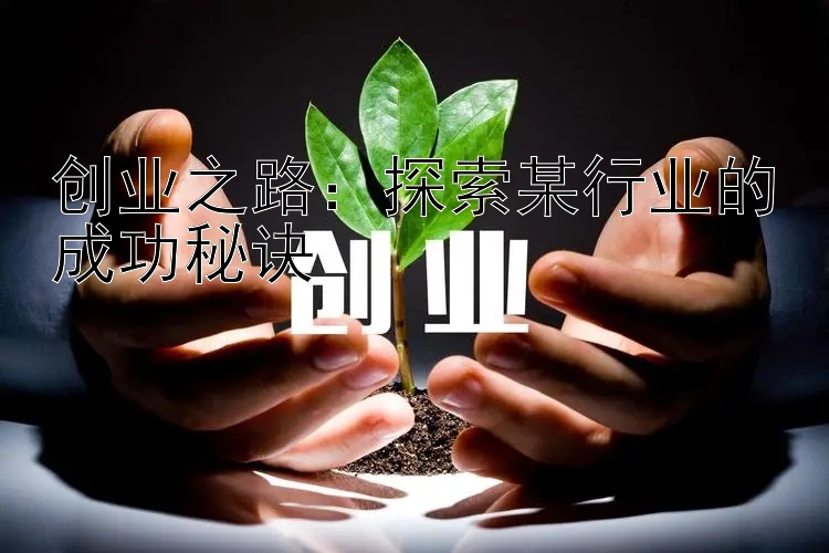 创业之路：探索某行业的成功秘诀