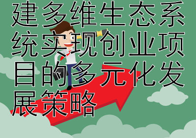 创新驱动：构建多维生态系统实现创业项目的多元化发展策略