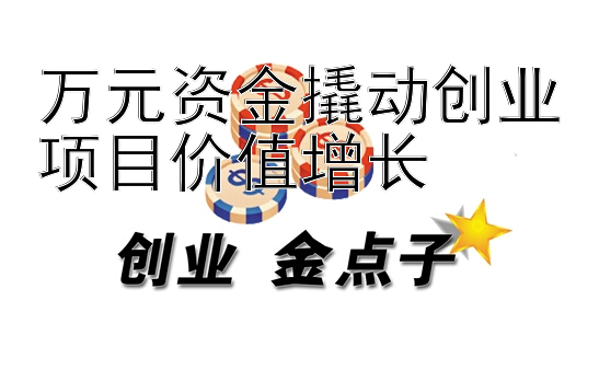 万元资金撬动创业项目价值增长