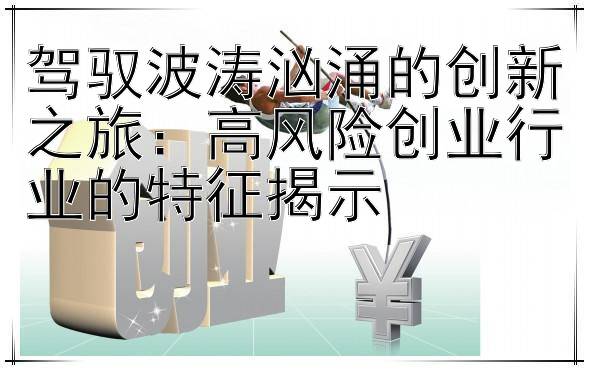 驾驭波涛汹涌的创新之旅：高风险创业行业的特征揭示