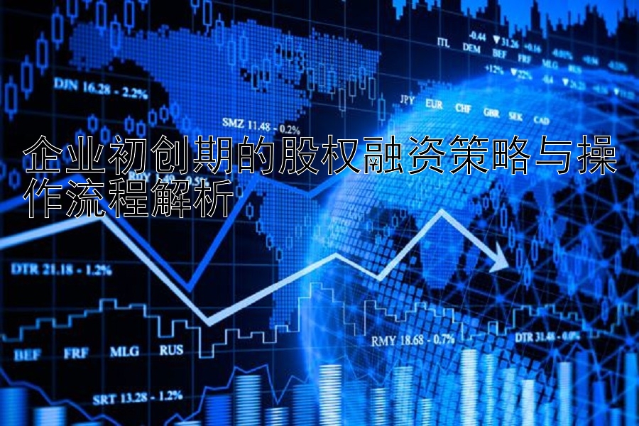 企业初创期的股权融资策略与操作流程解析