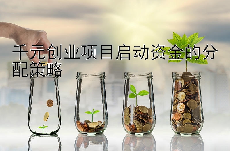 千元创业项目启动资金的分配策略