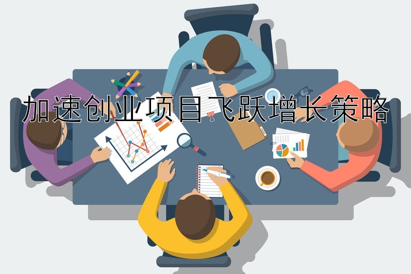 加速创业项目飞跃增长策略