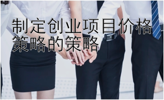 制定创业项目价格策略的策略