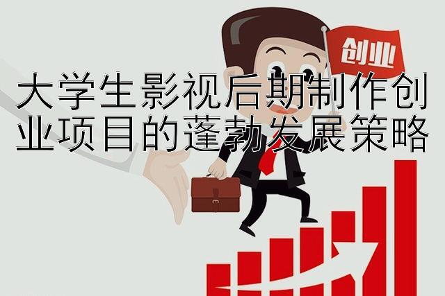 大学生影视后期制作创业项目的蓬勃发展策略