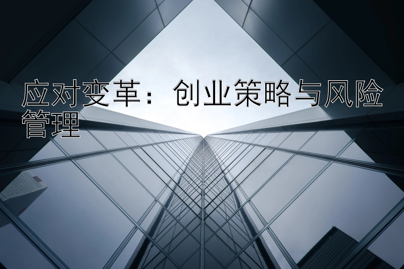 应对变革：创业策略与风险管理