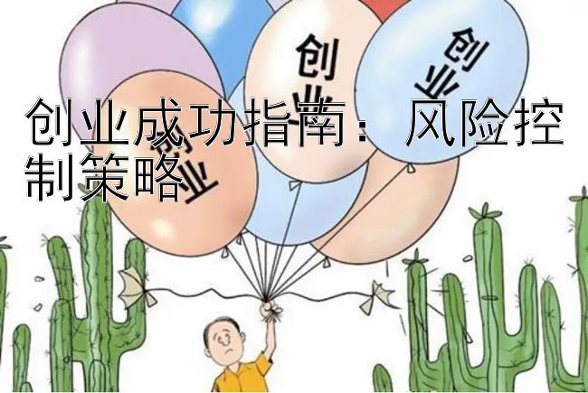 创业成功指南：风险控制策略