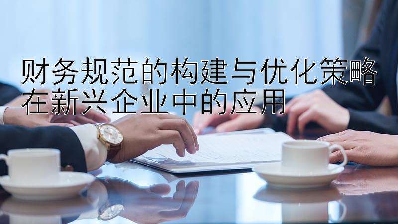 财务规范的构建与优化策略在新兴企业中的应用