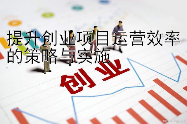 提升创业项目运营效率的策略与实施