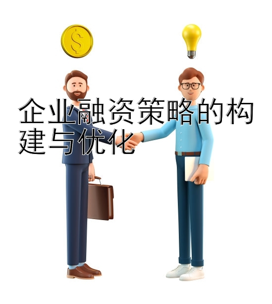 企业融资策略的构建与优化