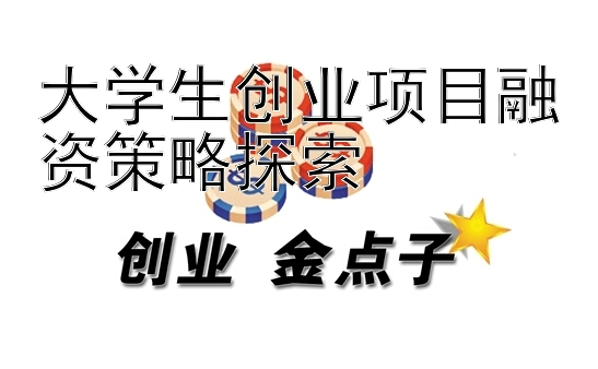 大学生创业项目融资策略探索