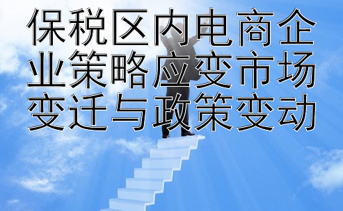 保税区内电商企业策略应变市场变迁与政策变动