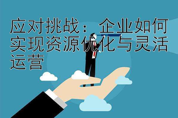 应对挑战：企业如何实现资源优化与灵活运营