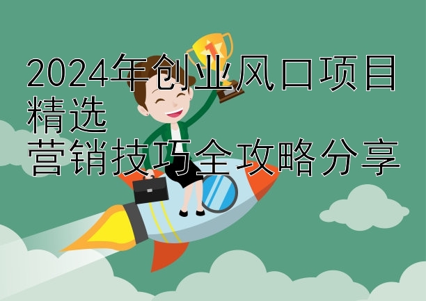 2024年创业风口项目精选  
营销技巧全攻略分享