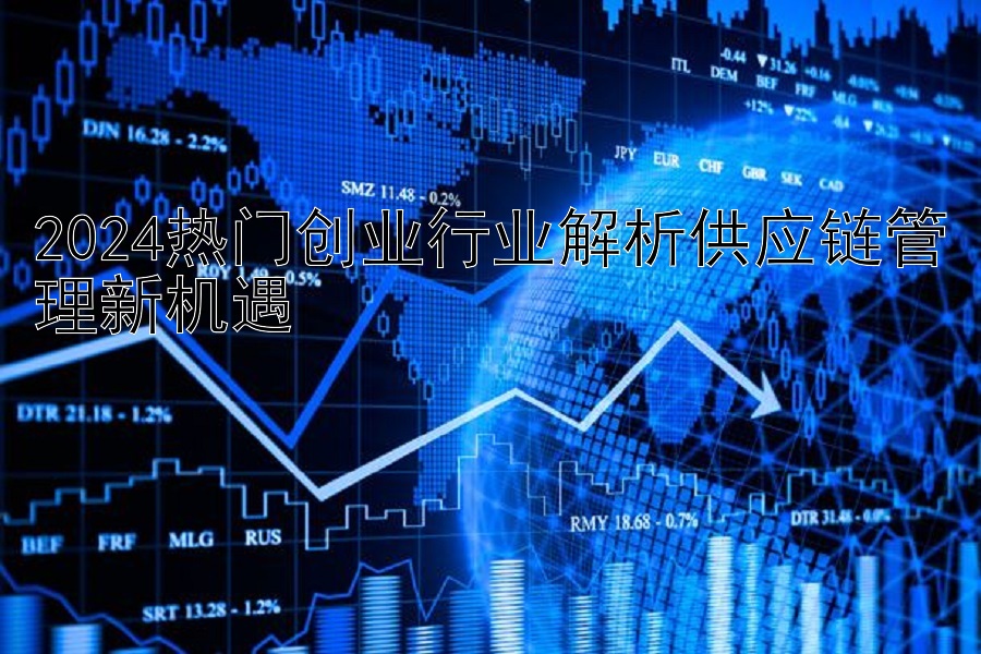 2024热门创业行业解析供应链管理新机遇