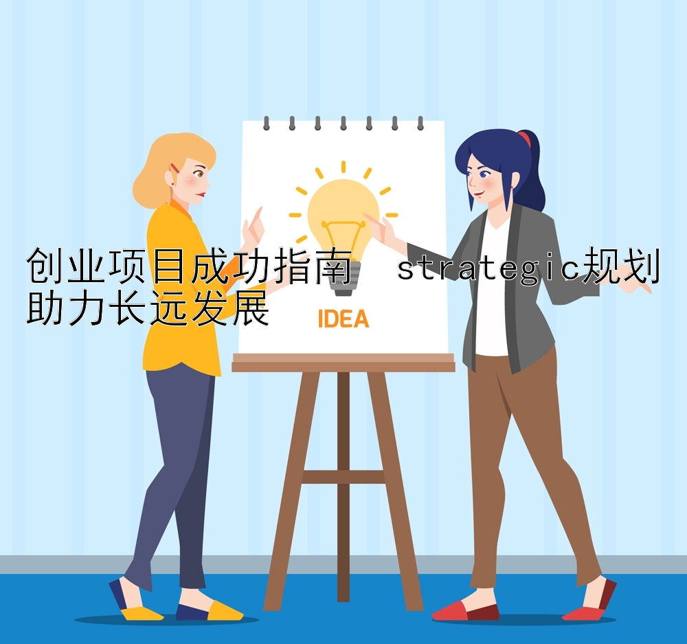 创业项目成功指南  strategic规划助力长远发展