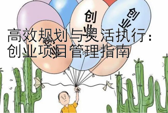 高效规划与灵活执行：创业项目管理指南