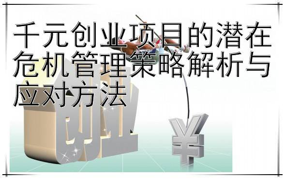 千元创业项目的潜在危机管理策略解析与应对方法